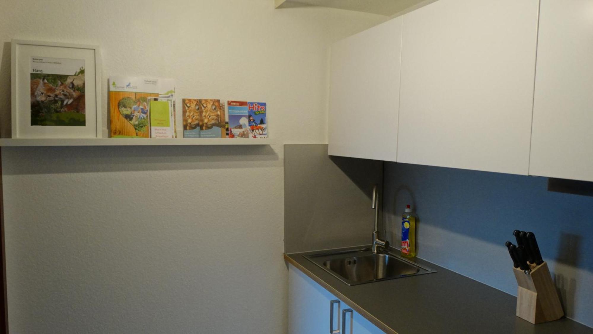 Apartmán Bergziege Braunlage Exteriér fotografie