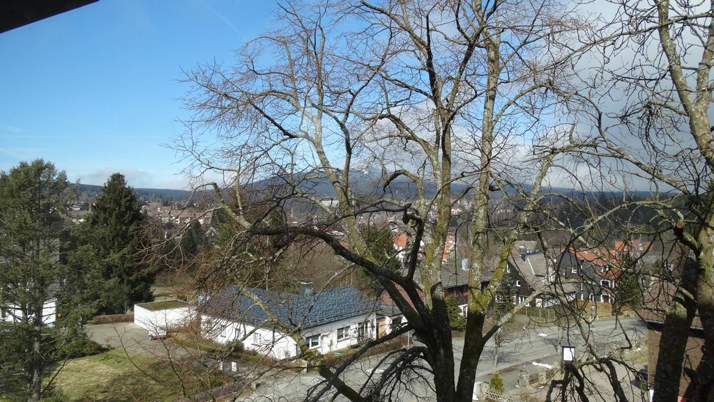Apartmán Bergziege Braunlage Exteriér fotografie