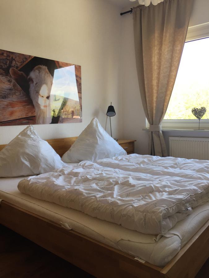 Apartmán Bergziege Braunlage Exteriér fotografie