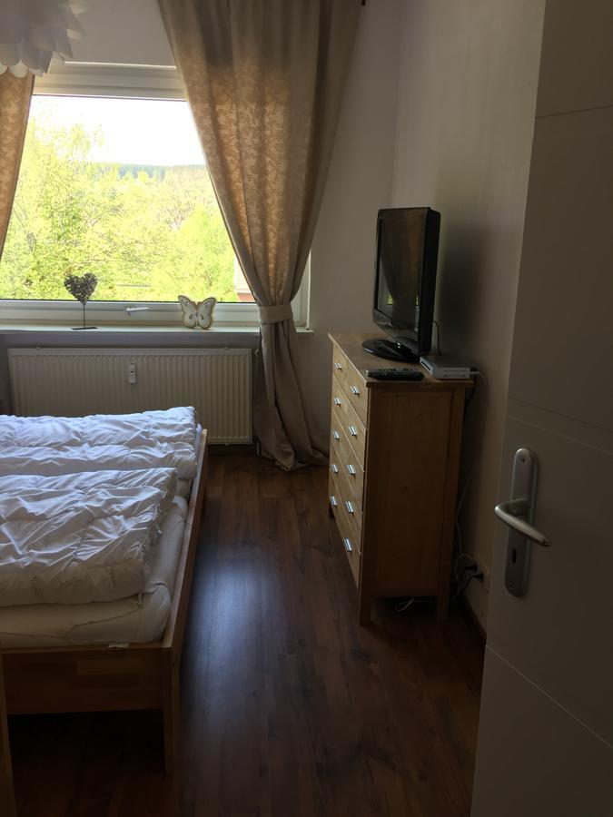 Apartmán Bergziege Braunlage Exteriér fotografie